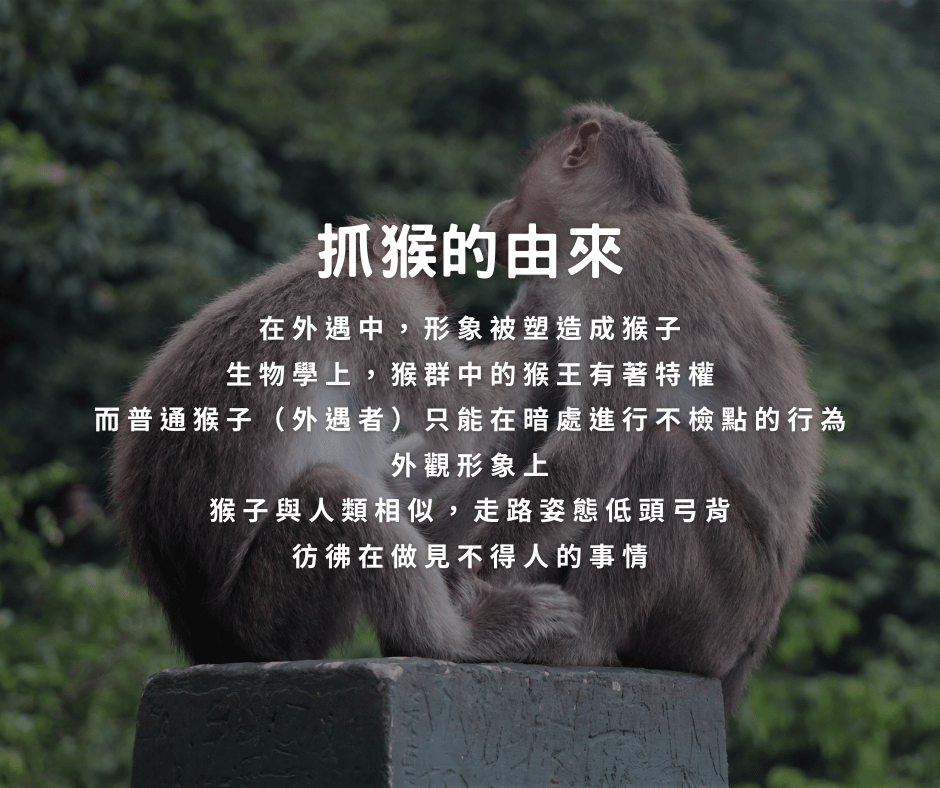 抓猴的由來